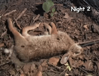 人死后会怎么样，人死后会发生哪些变化（人死后身体会发生什么）