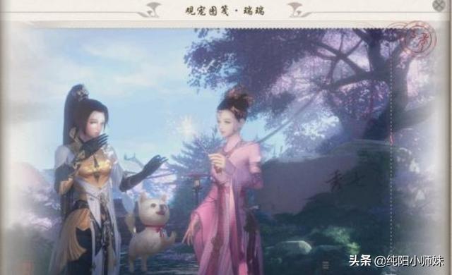 剑网三宠物游历图鉴，剑网3版旅行的青蛙