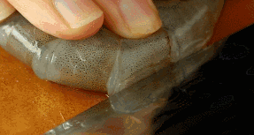 开边基围虾怎么做好吃，这样的蒜蓉开边虾你吃过吗