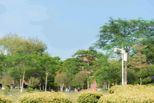 厦门鼓浪屿住宿，想来鼓浪屿毕业旅行（厦门鼓浪屿里面住宿）