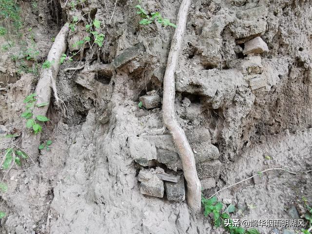 大汶口文化遗址，大汶口文化遗址在我国哪里（山东这十大遗址被国家文物局看上了）