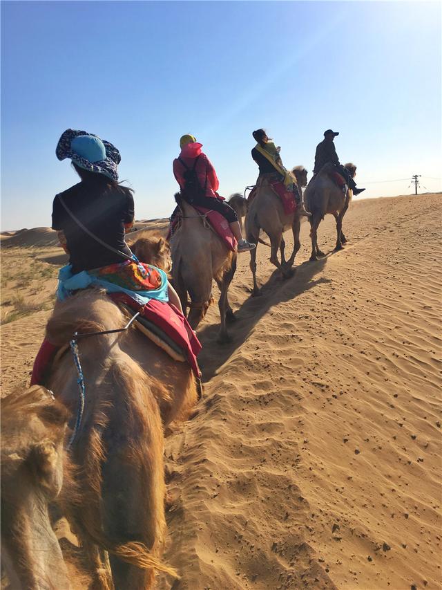 腾格里沙漠旅游攻略，腾格里沙漠腹地的草原奇观