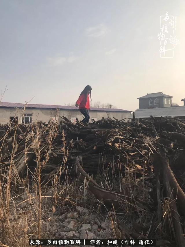 买肉，买肉的正确方法和注意事项