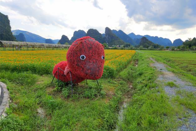 清远市旅游景点有哪些，来清远一定要去的5个景点