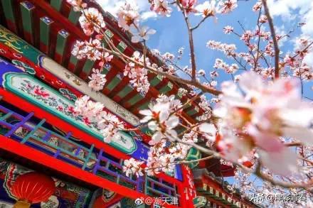 天津特色文化一日游，独家天津旅游手绘攻略新鲜出炉