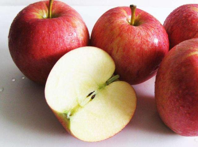 狗狗可以吃提子吗，狗狗不能吃的五种水果