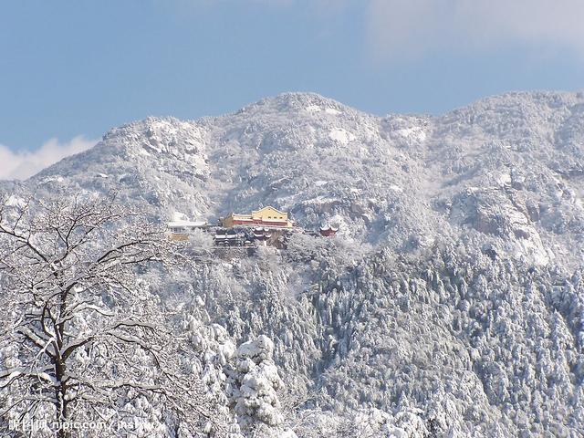 中国五大佛教名山，佛教五大名山简介（五大佛教名山是哪些山）