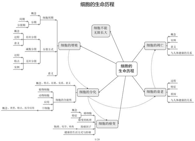 生物选修一思维导图，高中生物必修一思维导图 最新收藏