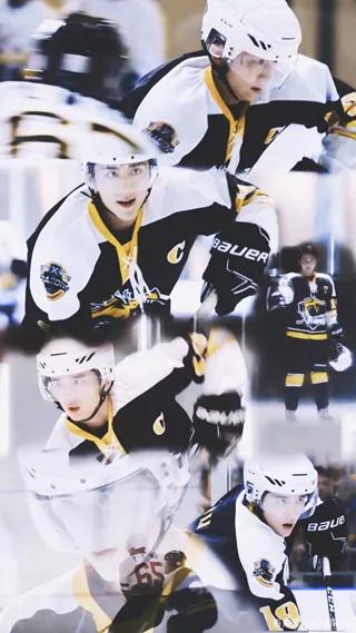 冬奥会项目大全，冬奥会项目介绍