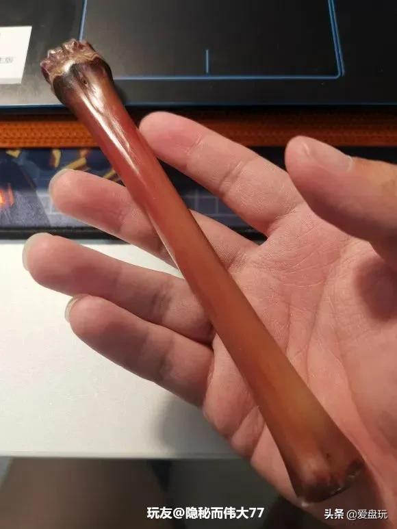 长白山挖人参遵循古法，长白山采挖野山参民间习俗