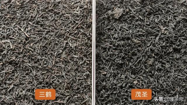 六堡茶有几种品质，评测六堡茶最知名两大品牌硬核PK