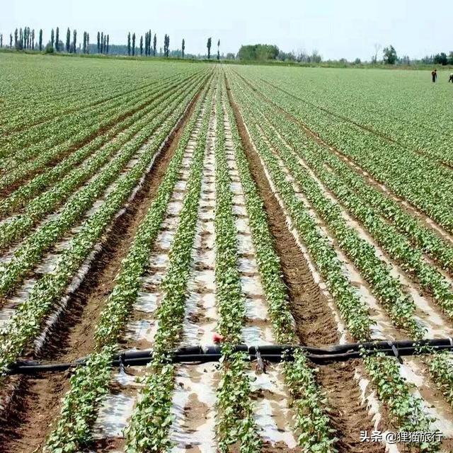 土耳其死海介绍，鸟瞰土耳其死海