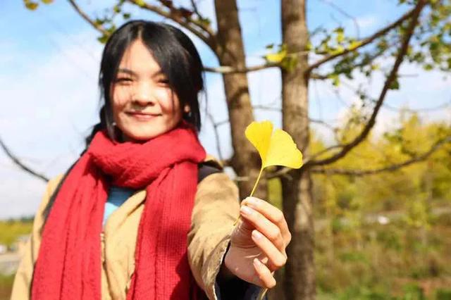 十一假期出游可畅玩银杏湖乐园，湖光山色风景迷人