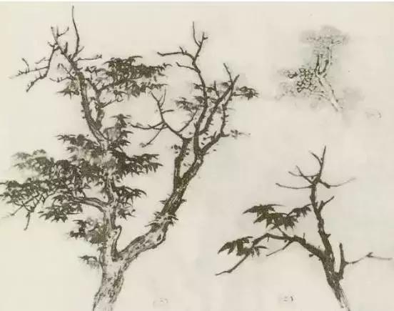 树怎么画简单又好看，如何画树简单又漂亮（水彩唯美风景画，手把手教你画）