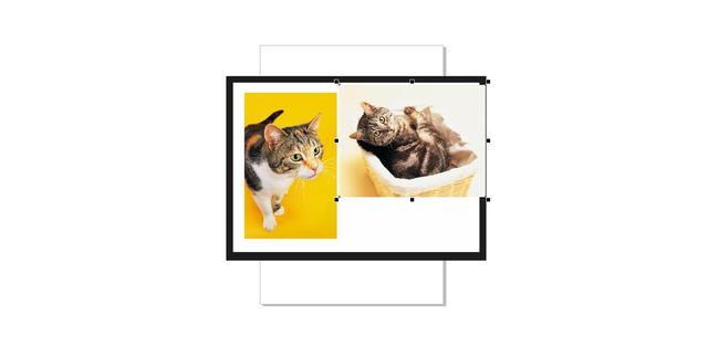 coreldraw教程，coreldraw小白入门基础教程
