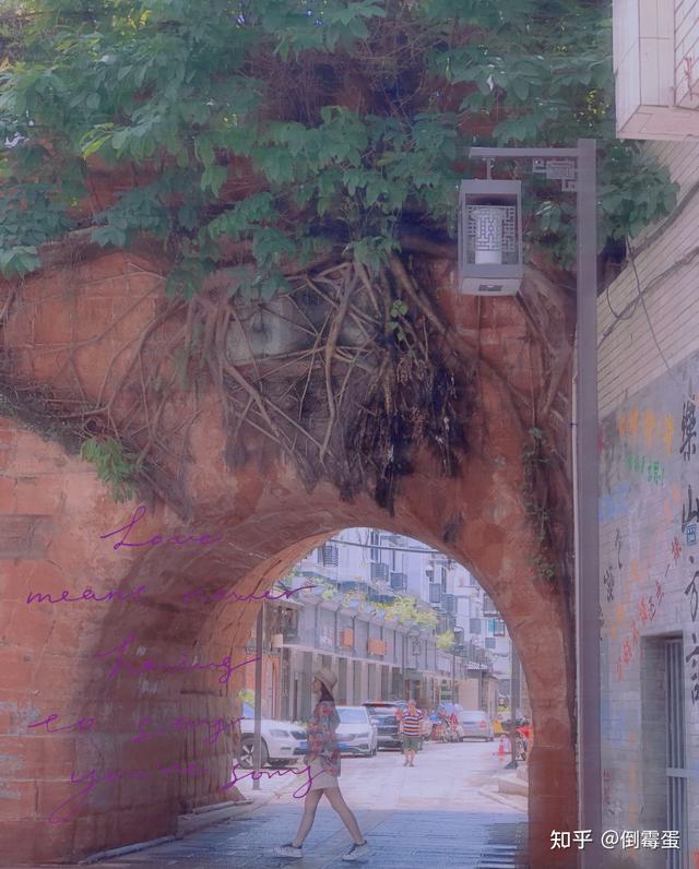 乐山市区旅游攻略吃货版，成都一乐山一日游