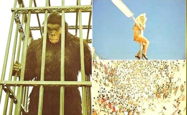 哥斯拉金刚最后金刚被关在哪里，这场世纪之战可太燃了