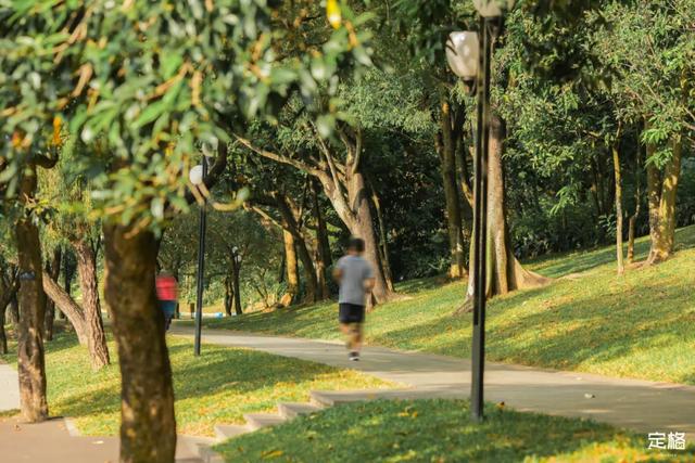 莲花山公园 网红打卡地，莲花山公园又红了