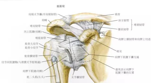 肩关节脱位手法复位，肩关节脱位最常用复位方法步骤（肩关节脱位症状与手法复位）
