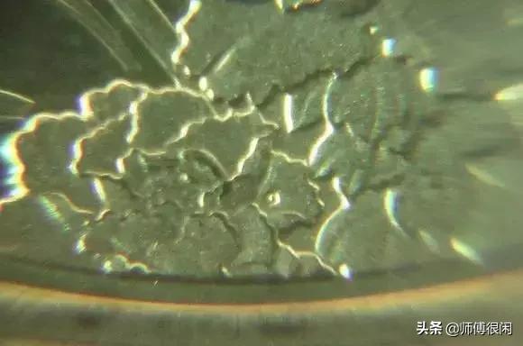 早期纪念币怎么收藏，新人学习收藏纪念币的五个建议