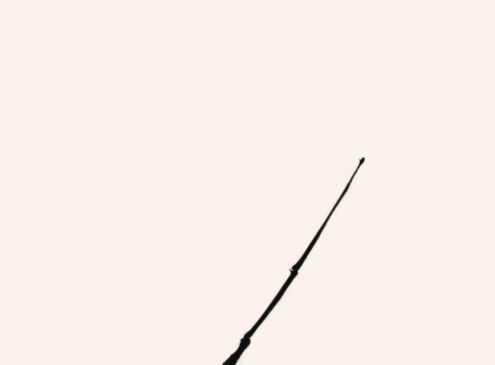 国画竹子的竹枝怎么画，国画竹竿竹枝画法