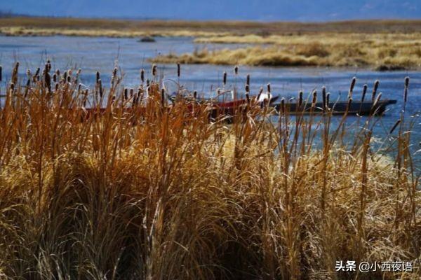 春节旅游攻略最全推荐，春节出游省钱攻略来啦