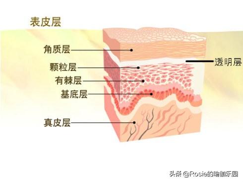 48歲李冰冰身材像少女？如何抗衰凍齡？關注這幾點減齡解鎖好身材 健身減肥達人 第19张