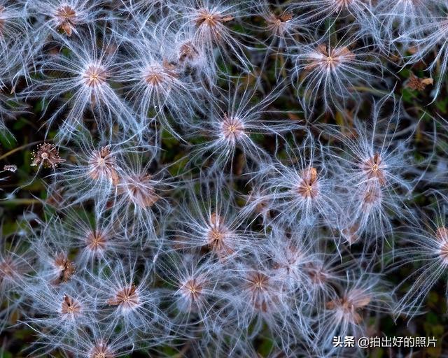 北极圈唯一一个不冷的地方，北极圈内的美丽岛屿