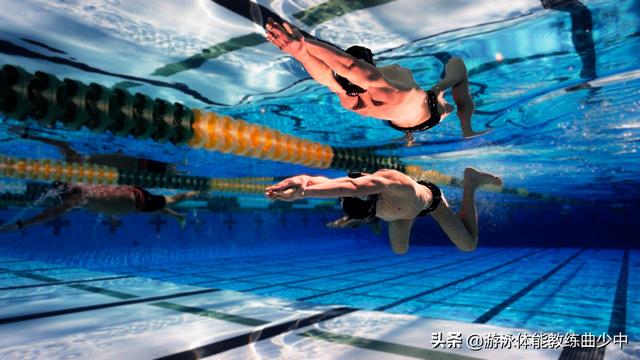 蛙泳分解教学，蛙泳完整教学流程