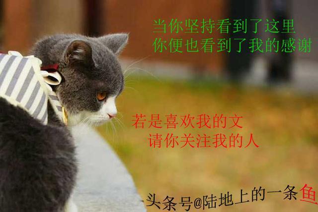 柳岩谈感情史，柳岩后悔没找老公