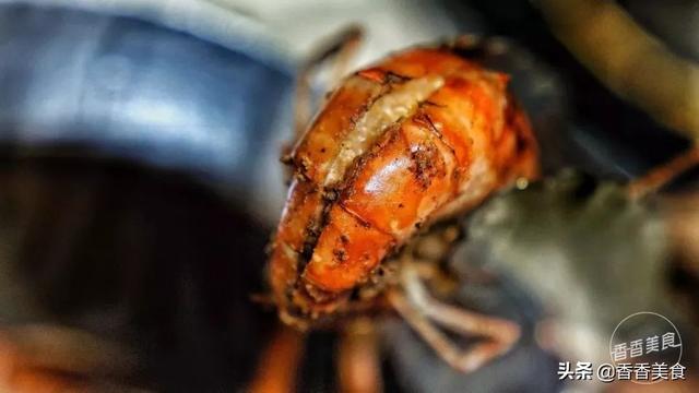 世界上最好吃的七种虾，还真是第一次见到这种操作的