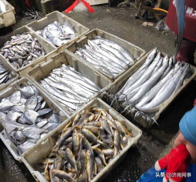 厦门海鲜大市场，厦门海鲜市场有几家（开海后的厦门海鲜市场）