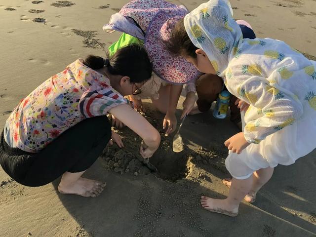 广东湛江旅游攻略，湛江旅游攻略最全攻略（广东省湛江市赤坎区十大景区有哪些）