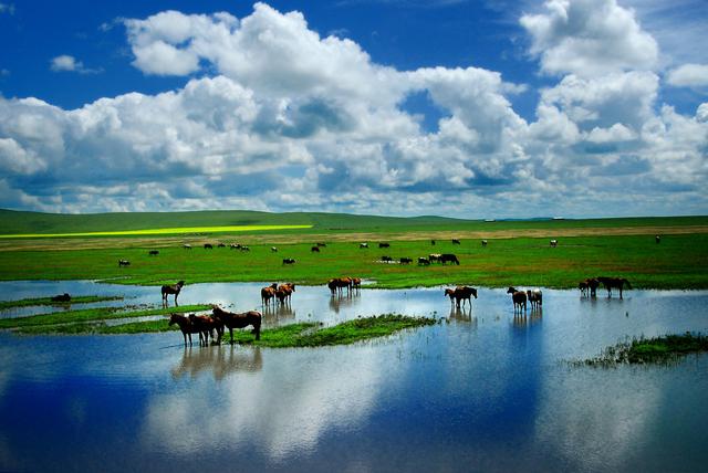 七月旅游国内避暑最佳地，8月适合去哪里旅行