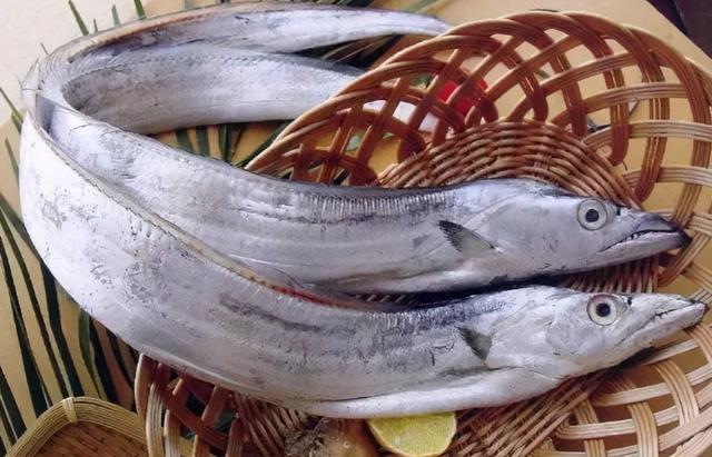 怎样选择购买带鱼，买带鱼有诀窍牢记