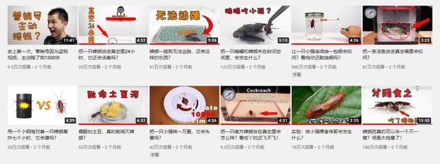 b站老番茄抓猴子游戏，单视频拿过3800万播放