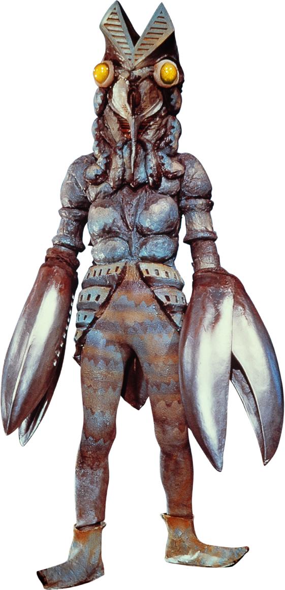 蝉一共有几种种类，青岛当地叫“截流”。主要有三种