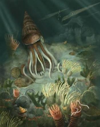 寒武纪时期出现的生物，这个5.14亿年前的生物