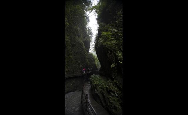 四川峨眉山介绍，中国四大佛教名山之一——峨眉山