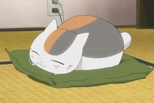 夏目友人帐8句经典语录，12句温暖至极的台词