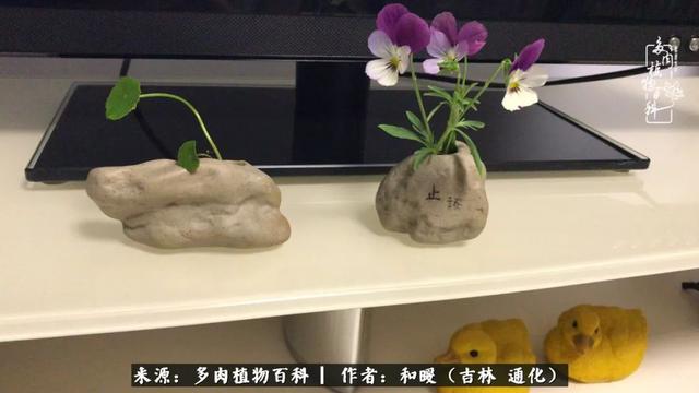 买肉，买肉的正确方法和注意事项