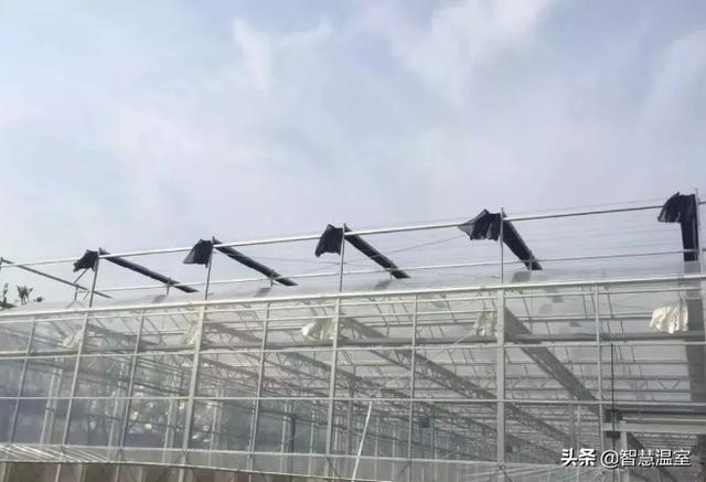 新型大棚草莓种植技术，大棚草莓A型架立体无土栽培技术