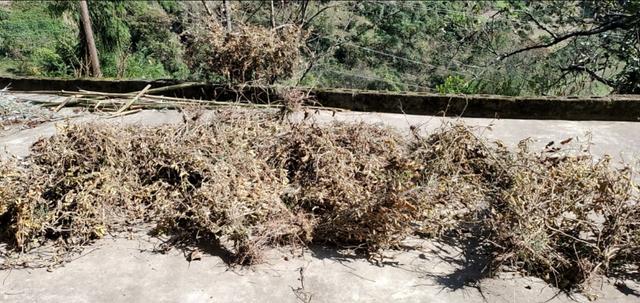 用豆腐自制豆腐干，手工豆腐干的制作流程（用白豆腐做五香卤豆干）