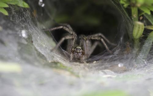 澳大利亚有些什么特产值得买，你不知道的国家冷知识