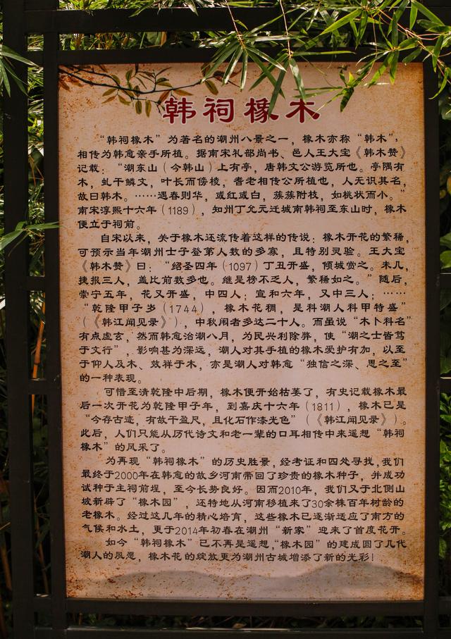 韩愈被贬潮州住在哪里，1906年的广东潮州