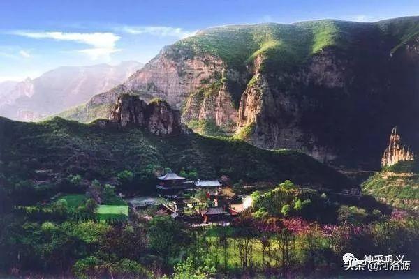 流苏树是什么树，流苏树的形态特征介绍