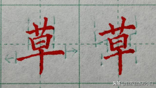 草字头加长怎么读，草书练字教程米字格（<二>艹、屮、艸、芔、茻）