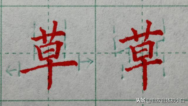 草字头加长怎么读，草书练字教程米字格（艹、屮、艸、芔、茻）