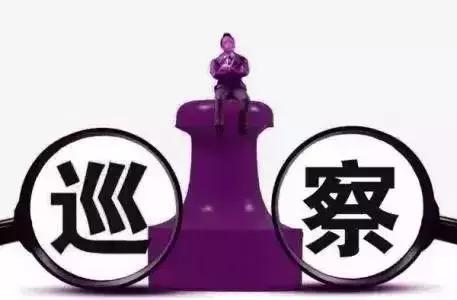 巡视，巡视组巡察什么内容