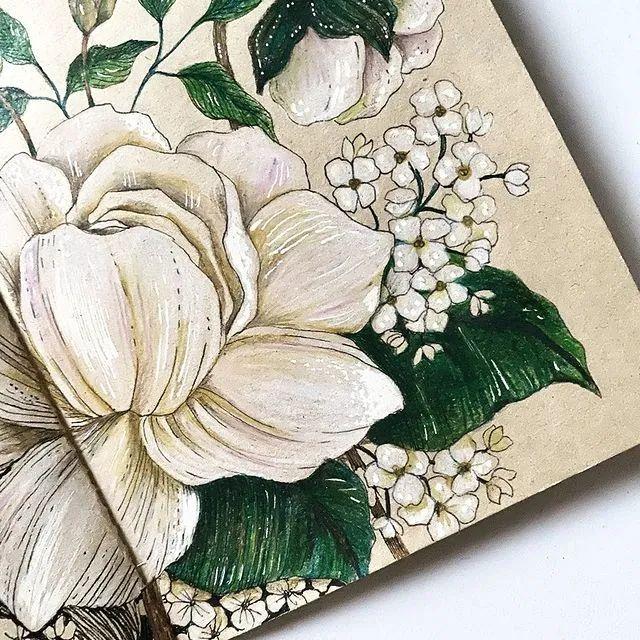 妙笔生花水墨画教程，教科书级别的植物线描